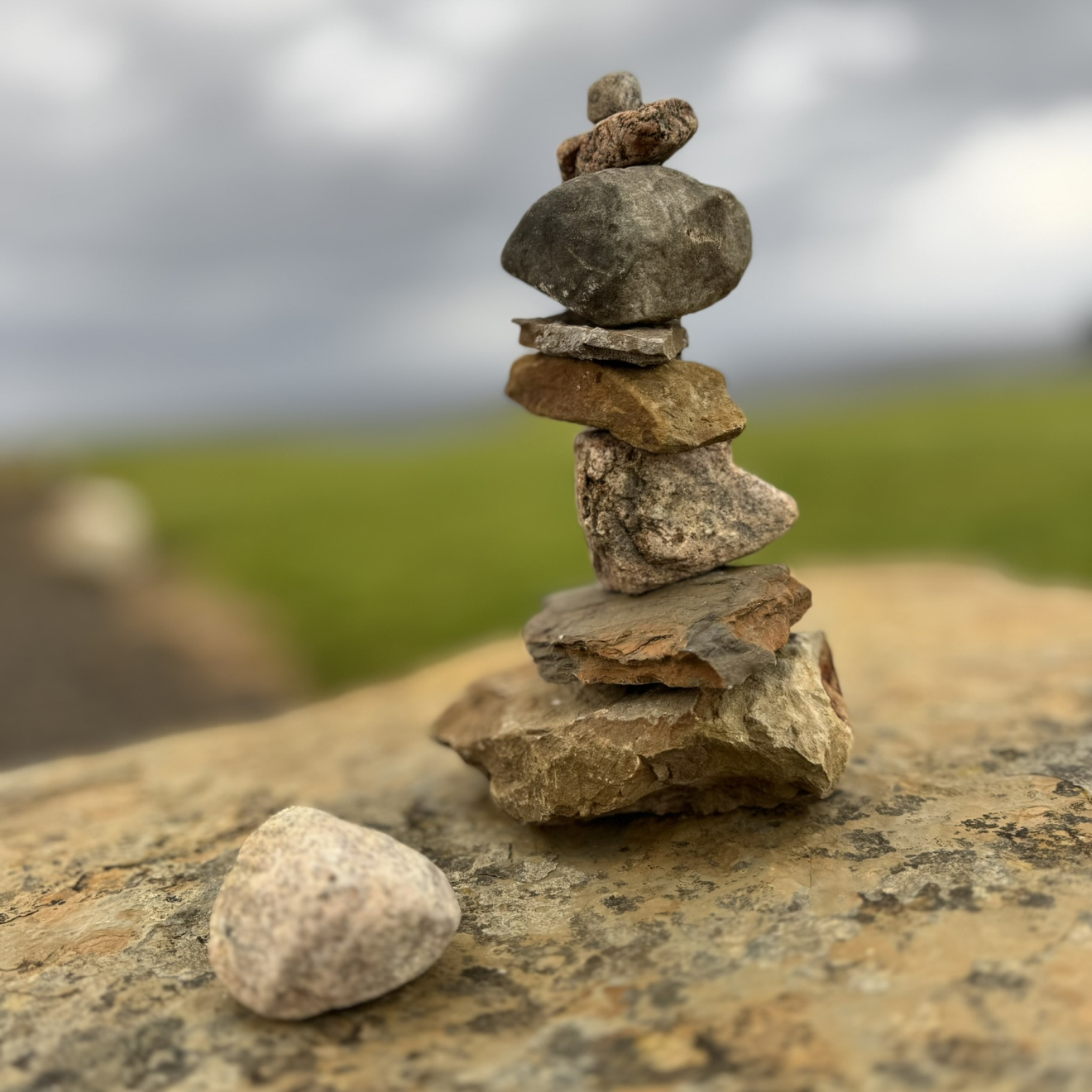 Beleidsplan Grip op het Leven: gemeente moet een partner voor inwoners zijn, geen kantoor vol regels